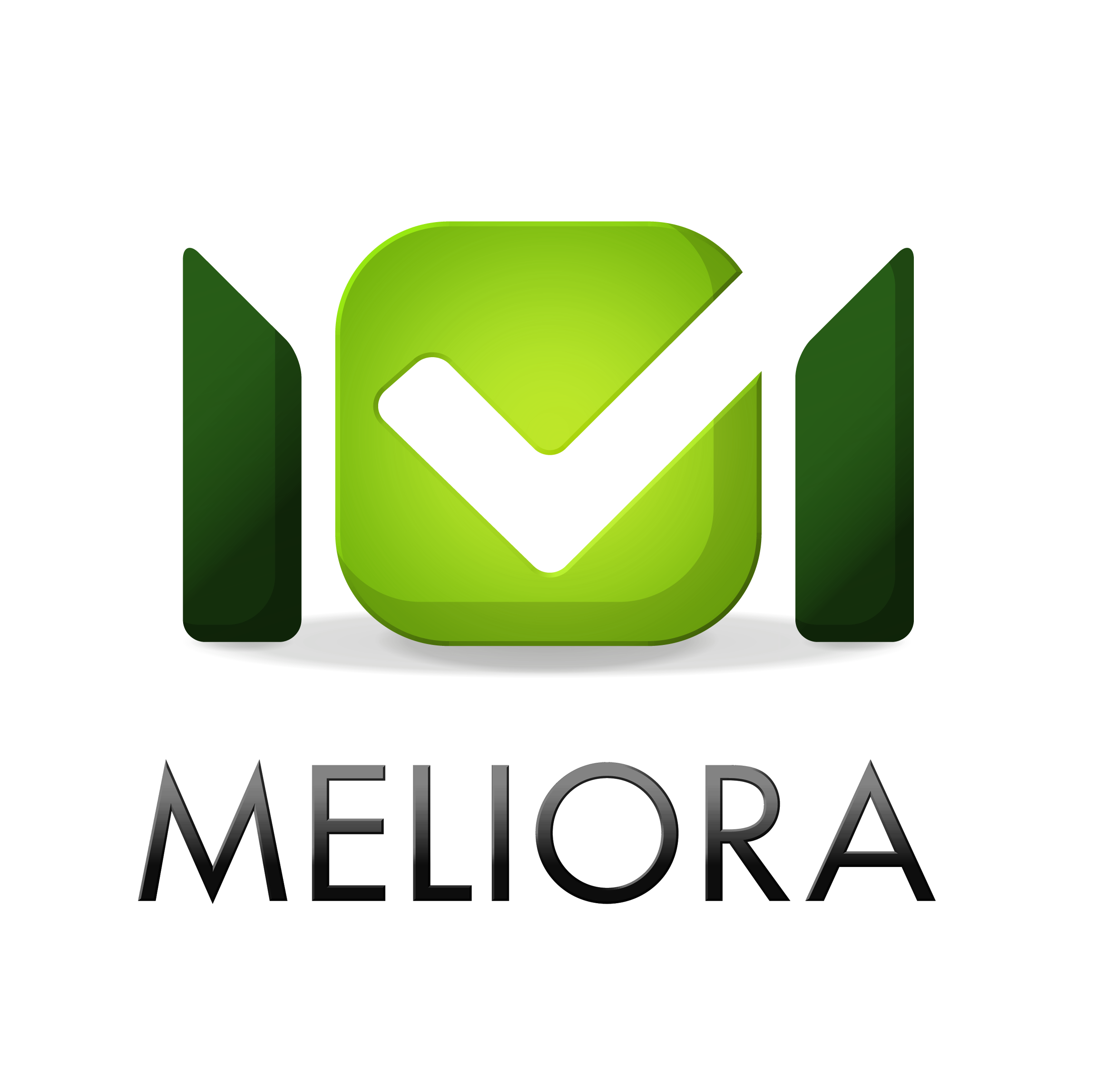 Meliora TestLab