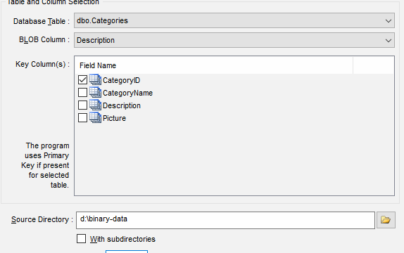 DTM Data Generator: Large object loader
