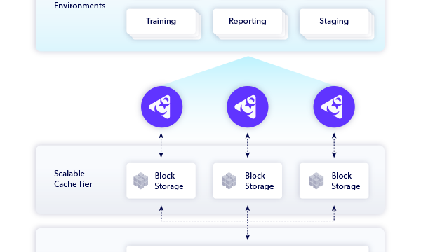 Perforce Delphix