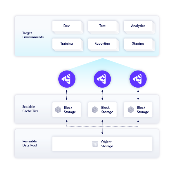 Perforce Delphix