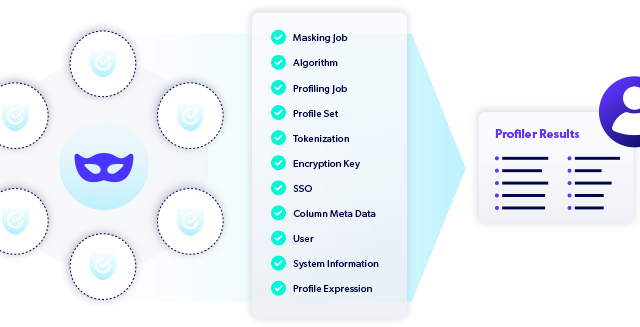 Perforce Delphix