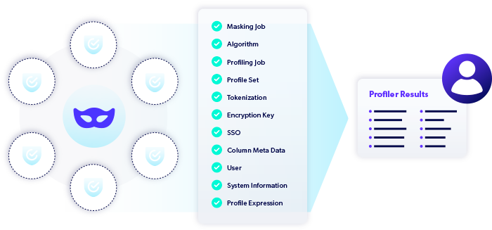 Perforce Delphix